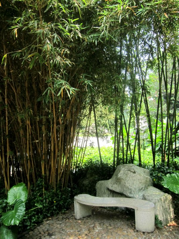 Скамейка среди бамбука. Фошань. Китай. Фото Лимарева В.Н.